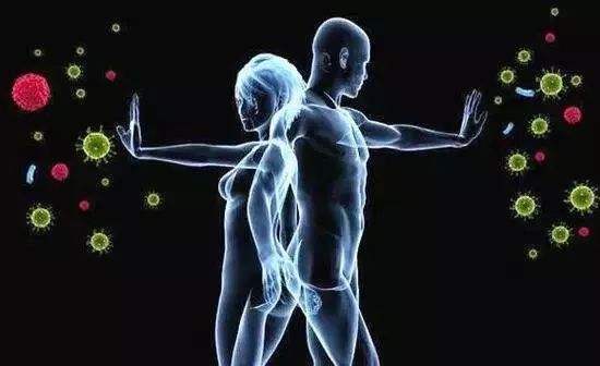 肉苁蓉粉增强免疫