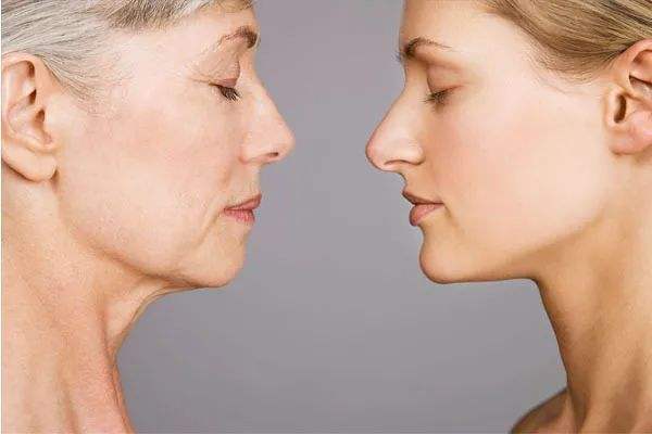 肉苁蓉粉预防衰老