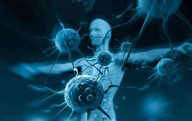 冬季吃萝卜增强免疫力 冬季吃萝卜增强免疫力