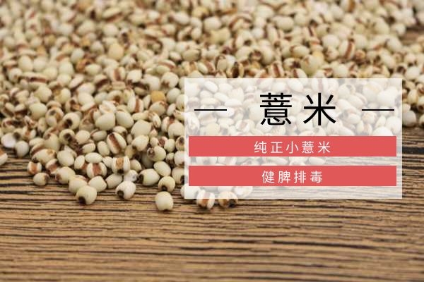 薏米帮助健脾排毒.jpg 薏米帮助健脾排毒.jpg