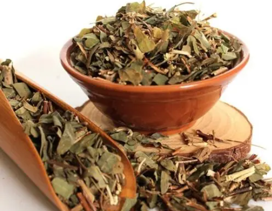 鸡骨草叶泡水 鸡骨草叶泡水