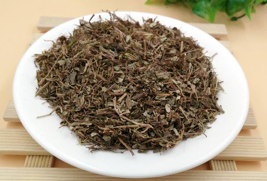 珍珠草食疗 珍珠草食疗