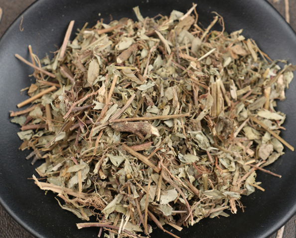 珍珠草的功效与作用及食用方法 珍珠草的功效与作用及食用方法