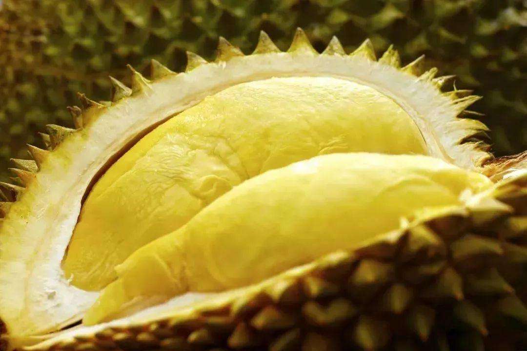  榴莲的功效和作用，你了解多少？
