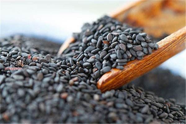 芝麻,公认的补血圣品 芝麻,公认的补血圣品