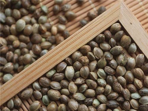 火麻仁能预防心脏疾病 火麻仁能预防心脏疾病