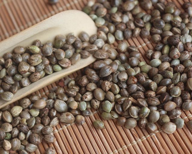  火麻仁的功效有哪些？除了缓解便秘，你还知道哪些？