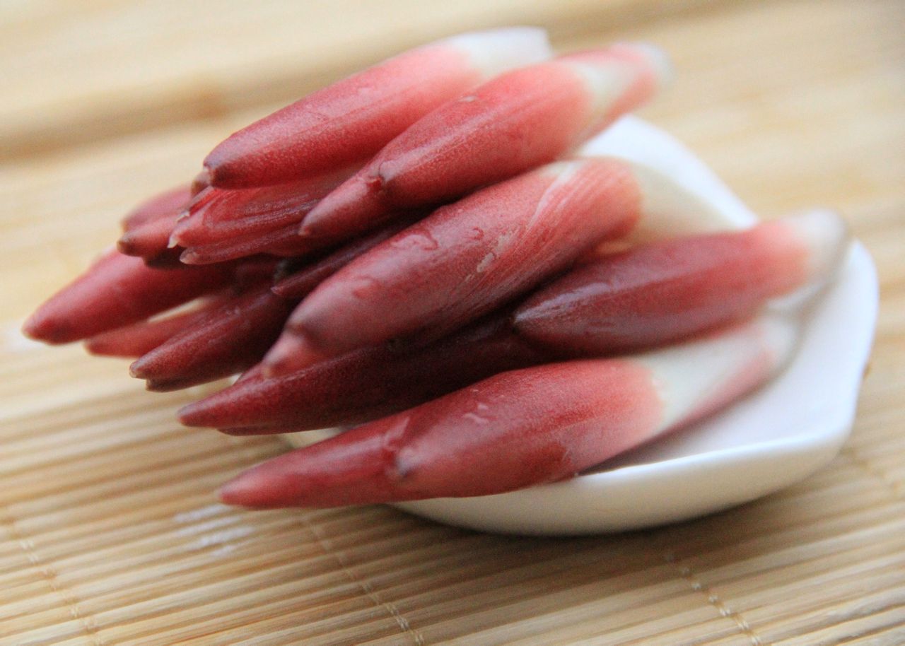 阳荷可以止咳平喘 阳荷可以止咳平喘