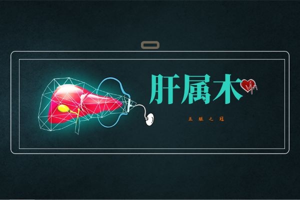 肝属木.五脏之首 肝属木.五脏之首