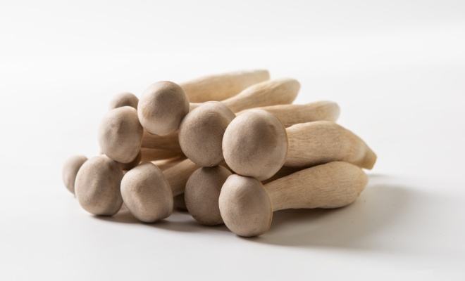 鹿茸菇降低胆固醇 鹿茸菇降低胆固醇