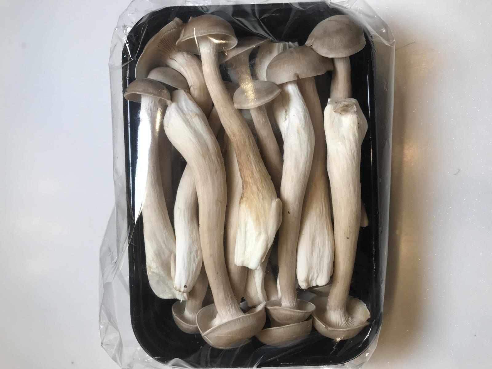  鹿茸菇的功效有哪些？常吃鹿茸菇有什么好处？