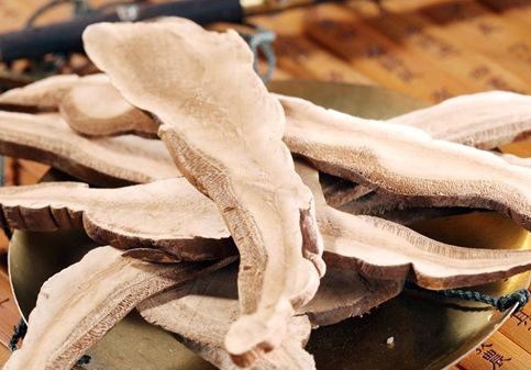 鹿茸可以治疗疮毒 鹿茸可以治疗疮毒