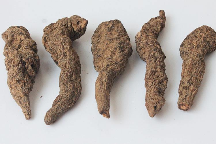  生地的功效有哪些？生地可以提高免疫力吗?