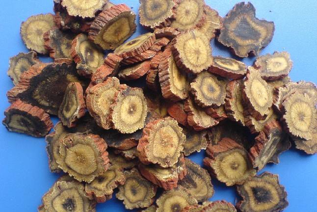 丹参可以抗肿瘤 丹参可以抗肿瘤