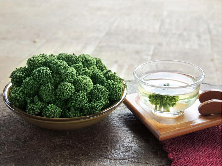  三七花的功效和作用有哪些？这些你都知道吗？