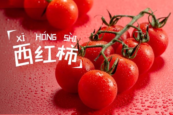 不与西红柿同食 不与西红柿同食