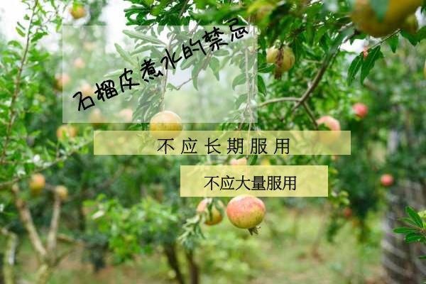  有药性的石榴皮肯定也存在副作用，那么石榴皮煮水的禁忌是什么呢？