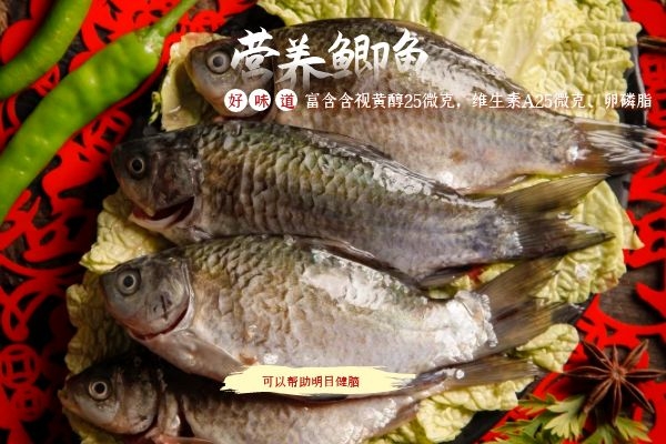 明目健脑.jpg 明目健脑.jpg