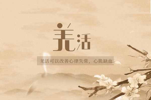 改善心律失常心肌缺血.jpg 改善心律失常心肌缺血.jpg