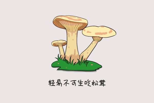 轻易不可生吃松茸.jpg 轻易不可生吃松茸.jpg