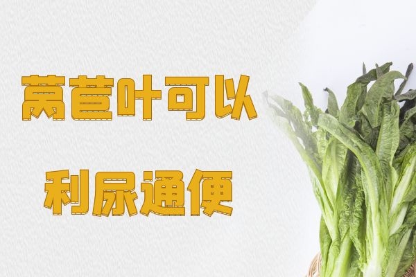 莴苣叶利尿通便.jpg 莴苣叶利尿通便.jpg