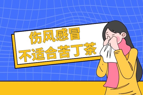 伤风感冒不适合苦丁茶.jpg 伤风感冒不适合苦丁茶.jpg