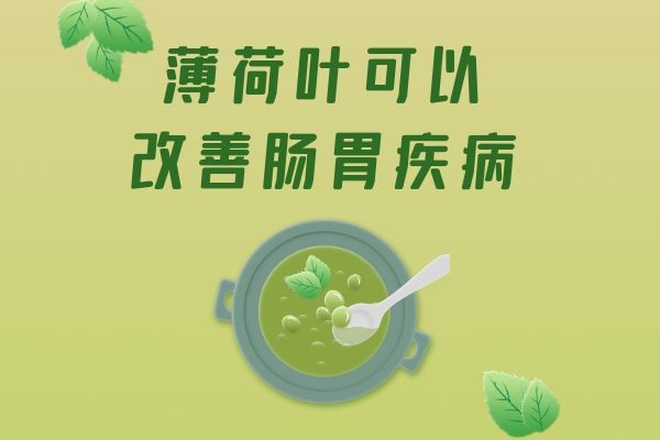  关于薄荷叶的功效和作用，你知道多少？