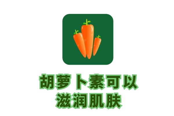 滋润肌肤 滋润肌肤