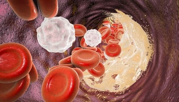  白麻叶的功效与作用是什么？孕妇可以吃吗？