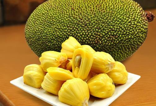 菠萝蜜 菠萝蜜