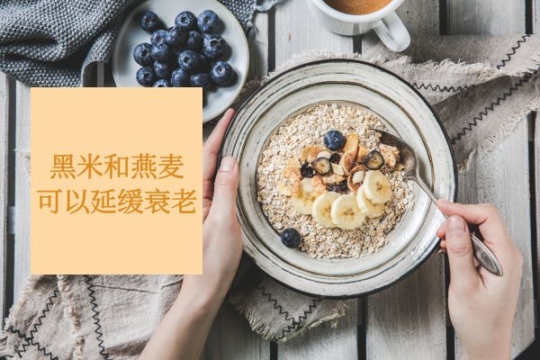 黑米和燕麦 黑米和燕麦
