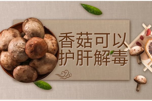 香菇护肝解毒 香菇护肝解毒