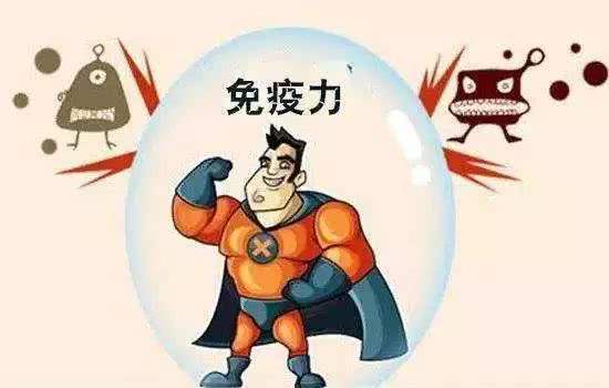  榛子的功效与作用是什么？