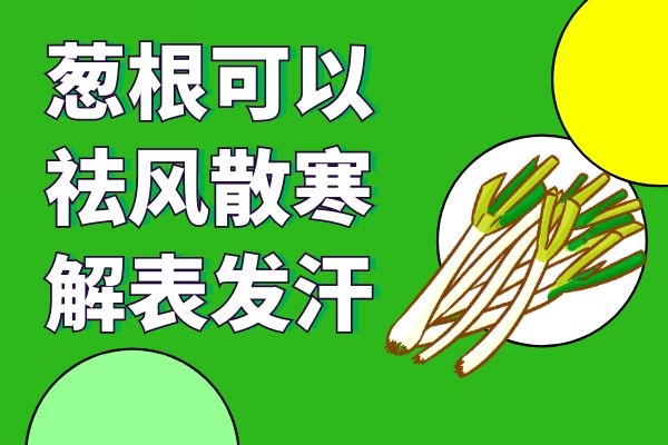  服用葱根煮水的功效与禁忌分别是什么？