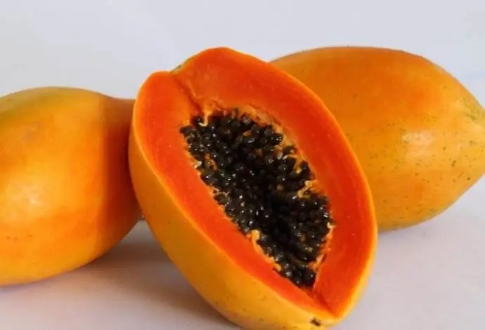  关于木瓜的这些药膳偏方你知道吗