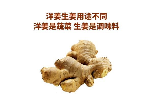洋姜生姜用途不同
