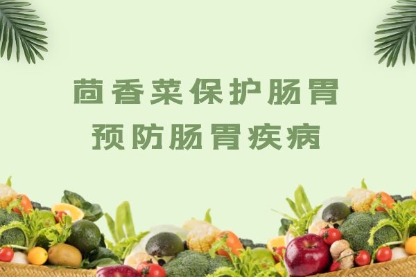 茴香菜预防肠胃疾病 茴香菜预防肠胃疾病