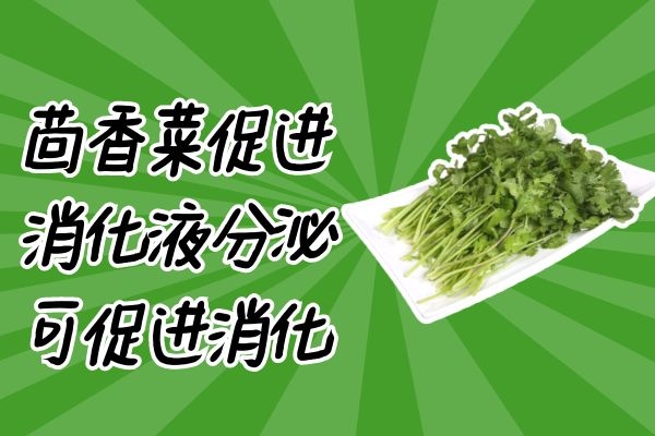 茴香菜促进消化 茴香菜促进消化