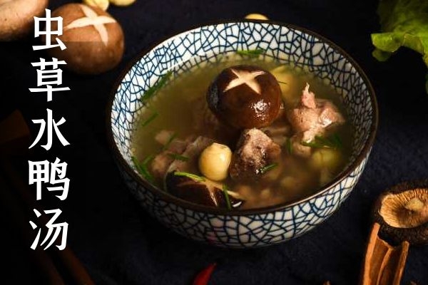 虫草水鸭汤 虫草水鸭汤