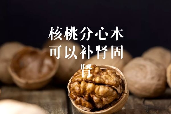 补肾固肾 补肾固肾