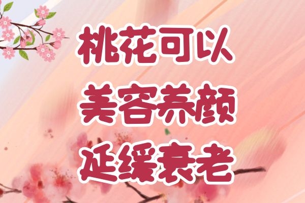  关于桃花功效和作用及食用方法的相关介绍