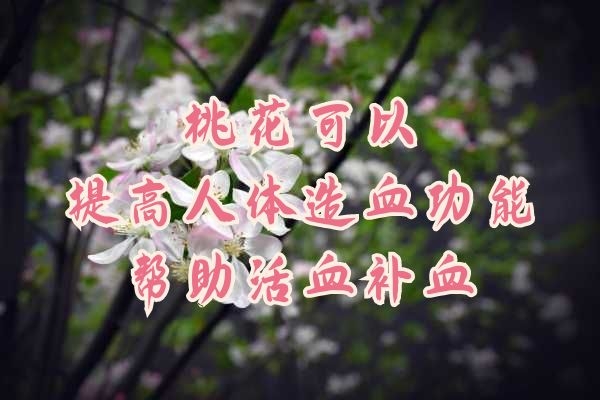 活血补血 活血补血