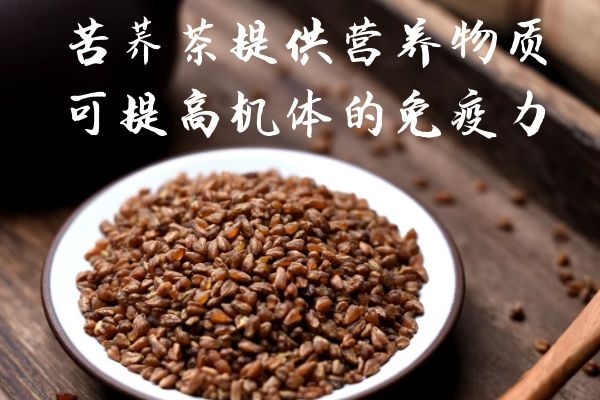  关于饮用苦荞茶的功效和作用及禁忌的相关内容