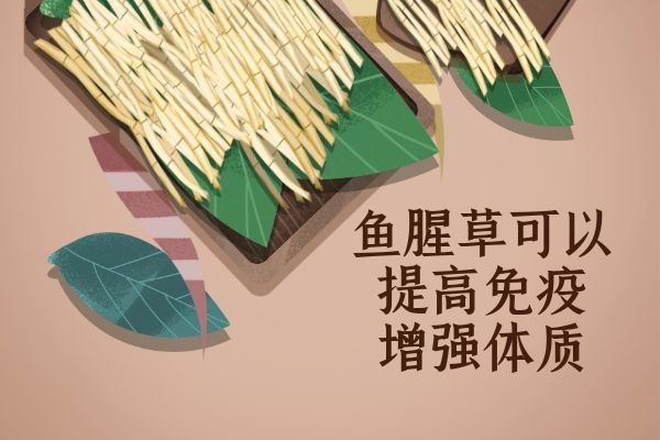  食用鱼腥草的功效与作用及禁忌有哪些？