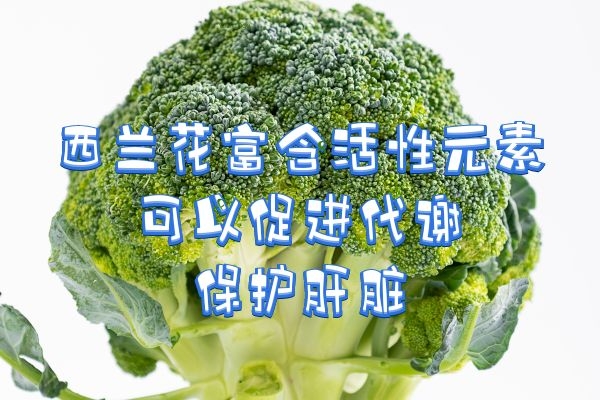 促进代谢护肝 促进代谢护肝