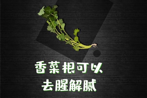  香菜根有哪些功效与作用？其食用禁忌是什么？