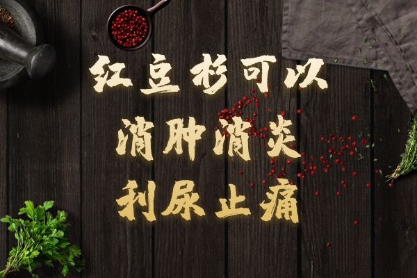  红豆杉的功效与作用是什么？这五种功效很厉害