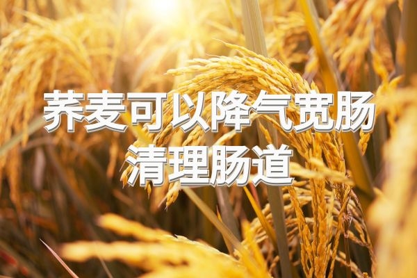  关于荞麦的功效与作用，你知道吗？