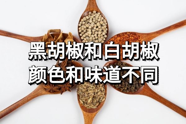  黑胡椒和白胡椒的区别是什么？哪种更好呢？