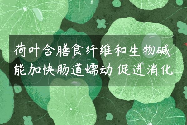  荷叶的功效与作用是什么？